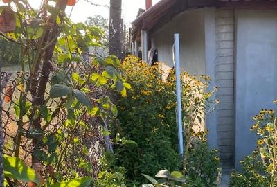 Casă individuală cu 3 camere cu Teren 2450 Mp în Străoane - 5