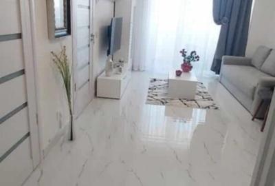 Apartament cu 2 camere decomandat, mobilat în Nufărul - 4