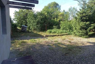 Vand casa cu gradina la 10 km de Suceava - 7