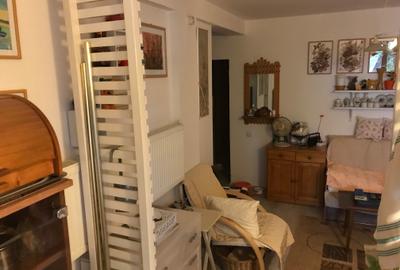 Titan - Hala Laminor - metrou - Apartament 2 camere in vila - curte 37 mp - 2013 - 4