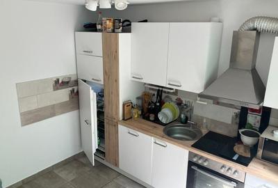 Apartament cu 3 camere - Calea Urseni langa Profi - 5