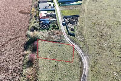 Comision 0% | Teren intravilan 600 mp | SANPETRU - 7