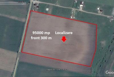 Teren - 95000 mp Teren - 95000 mp - 3