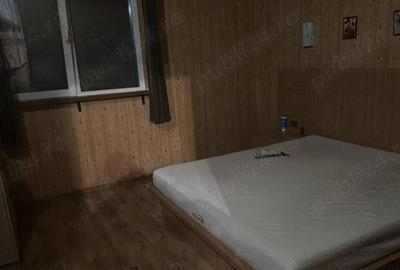 Casa sat Serbestii Vechi - 5