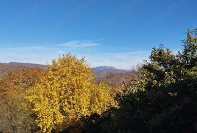 Casa si livada, de vanzare in localitatea Pausesti-Maglasi, sat Coasta. - 9