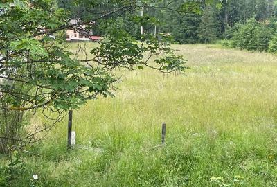 Teren pentru casa de vacanta/pensiune - Cheia - Maneciu - 6