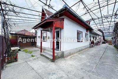 Casă cu 2 camere cu Teren 2086 Mp în Sântuhalm - 16