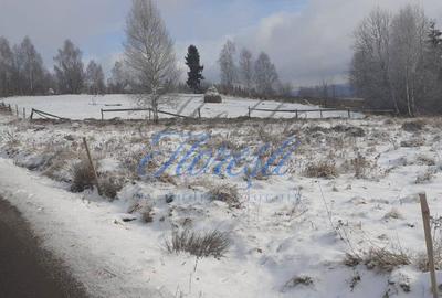 Spațiu comercial, în Dealu Negru