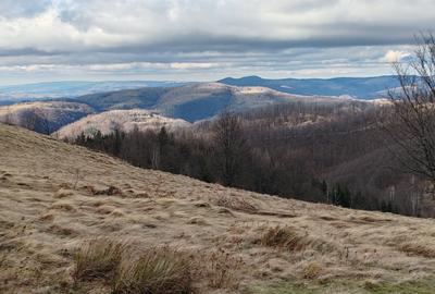 19,5 Ha  TEREN PEISAJ PANORAMIC SPECTACULOS zona turistica montana BULZ -  BIHOR - 45