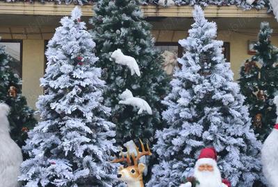 Inchiriez apartament cu 3 camere pe perioada Targului de Craciun din Craiova - 5