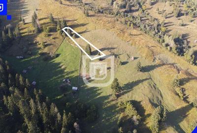 Teren situat in Frasin | BUCOVINA - 7