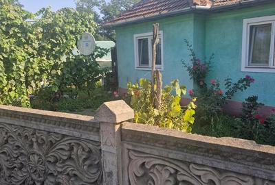 Vand casa in Calanu Mic - 2