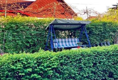 Casa in cadru armonios Casa in cadru armonios - 41