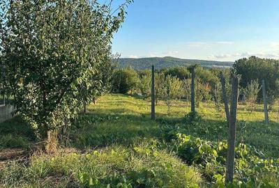 Teren de 1100 mp, în Bârnova - 2