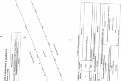 Teren de 10000 mp, în Central