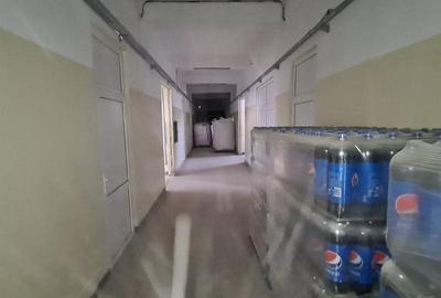 Drumul Intre Tarlale spatiu productie 1350 mp - 14