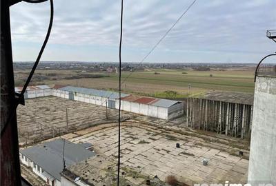 Oportunitate in Peris- teren, spatii industriale, silozuri 18000 tone- inchiriere tot sau partial - 13