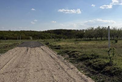 Spațiu comercial, în Păușa - 3