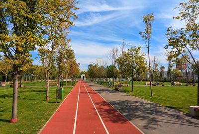 Teren 2614 mp in zona Brancoveanu-Grand Arena Mall, Sector 4 - 11