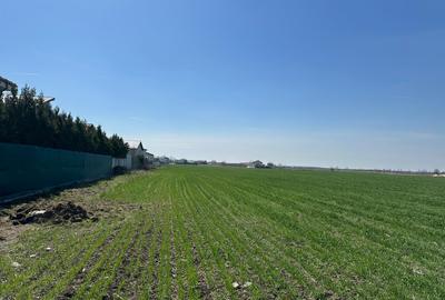 Teren de vânzare – Otopeni, Zona Nouă a Orașului 23213mp - 3