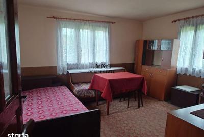 Casă cu 4 camere cu Teren 2651 Mp în Baia de Criș - 19