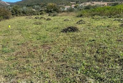 Teren de 3300 mp, în Central - 8