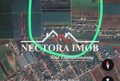 Teren de 567 mp, în Nojorid - 2