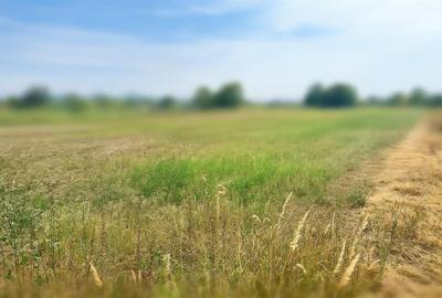 Teren intravilan de vanzare Lipanesti, parcelabil in loturi de 1000 mp - 3