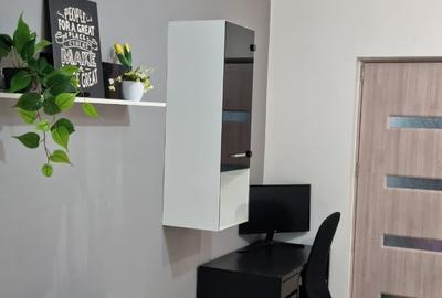 Garsonieră semidecomandată, mobilată în Costin Georgian - 5