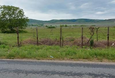 Teren de 11780 mp, în Merei - 5