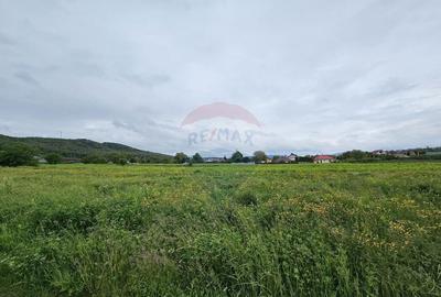 Teren 1,495mp Dobreni / Strada Parau Almas - 3