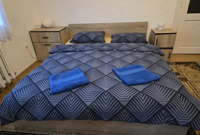 Apartament cu 2 camere decomandat în Lazaret - 3