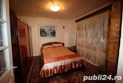 Casă cu 5 camere cu Teren 5000 Mp în Topolog - 2