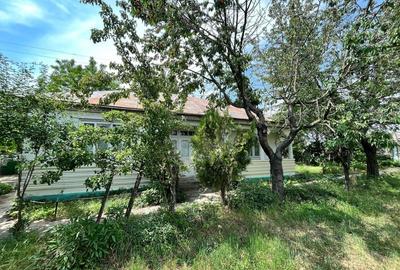 Casă cu Teren 1925 Mp în Gara Berheci - 2