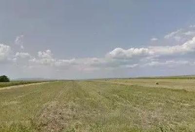 Teren extravilan cota parte 1/3 Cernatesti , ID: R2586146 - 4