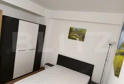 Apartament de inchiriat, 2 camere decomandat, zona T. Vladimirescu - 4