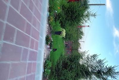 Casă cu 3 camere în Mihai Viteazu - 6