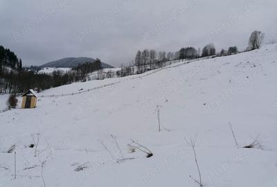 Teren de 12066 mp, în Breaza - 2