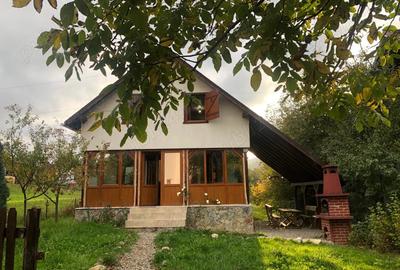 Casa cabana jud. Brasov Bran Moieciu - 6