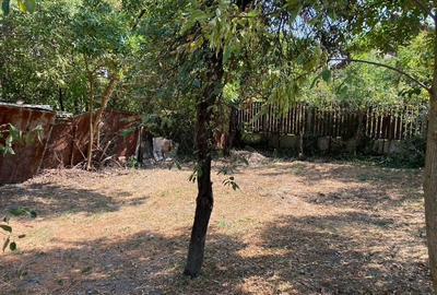 Casă cu 5 camere în Fratelia - 4