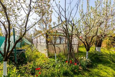 Casă individuală cu 5 camere cu Teren 1000 Mp în Belciugatele - 34