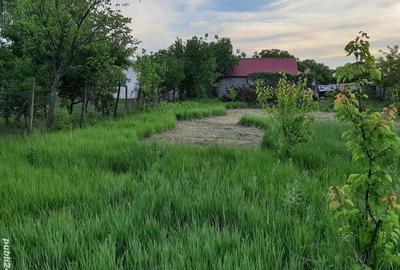 Casă cu 4 camere cu Teren 1075 Mp în Tecuci - 4