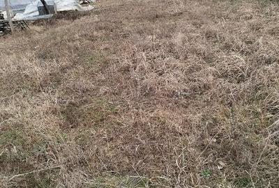 Teren lipia Ilfov intravilan lângă pădure 4400mp - 7