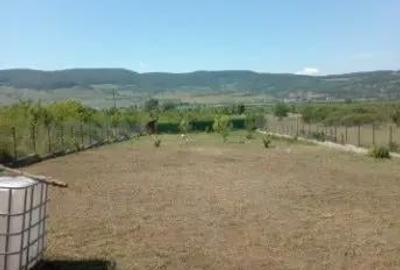 Teren de 2177 mp, în Crainimăt - 8