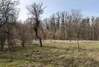 Teren de 1472 mp, în Lintești - 1