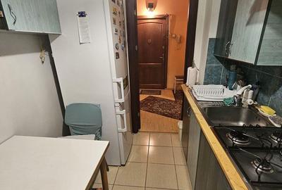 Apartament cu 3 camere decomandat în Brazda lui Novac - 8