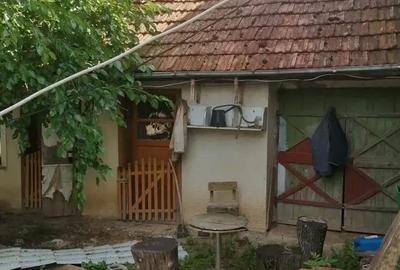 Casă cu Teren 2800 Mp în Solduba - 1