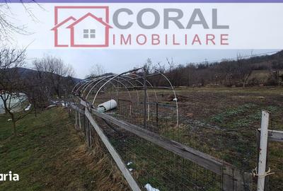 Casă cu 3 camere cu Teren 2070 Mp în Cârjiți - 5