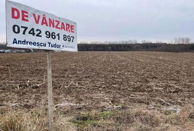 Spațiu comercial, în Ciuperceni - 6