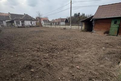 Casă cu 2 camere în Saschiz - 8